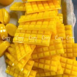 Sáp ong nguyên chất Cosy Bee Home đổ khuôn thành từng thanh ô vuông